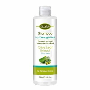 Shampoo for drydamaged hair with aloe vera 250ml